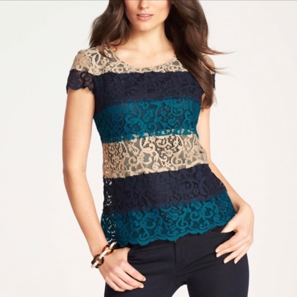 💛Ann Taylor Blue and Tan Lace Blouse Size Large